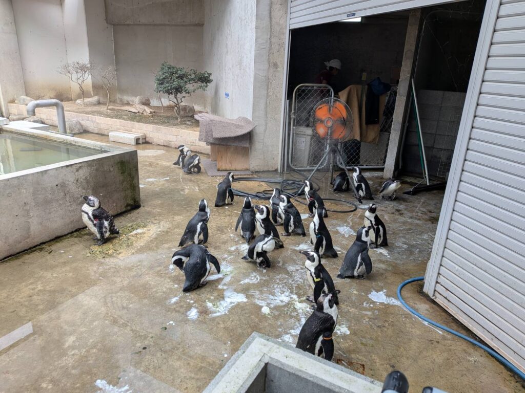 茨城県行方市の「霞ケ浦 どうぶつとみんなのいえ」を訪問。キリンやビーバー、ペンギン、カピバラとの距離の近さが魅力の新しい動物施設。建築と自然も楽しめる、MOZiおすすめの週末スポットを紹介します。
