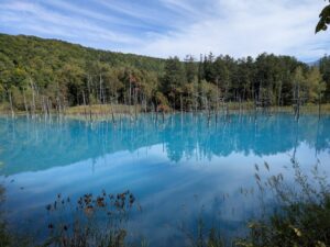 北海道・美瑛にある「白金青い池」。立ち枯れたカラマツと幻想的な青い水面がつくる、美瑛を代表する景色を紹介。季節や天候で変わる「BIEI BLUE」の魅力やアクセス、冬のライトアップについても紹介します。